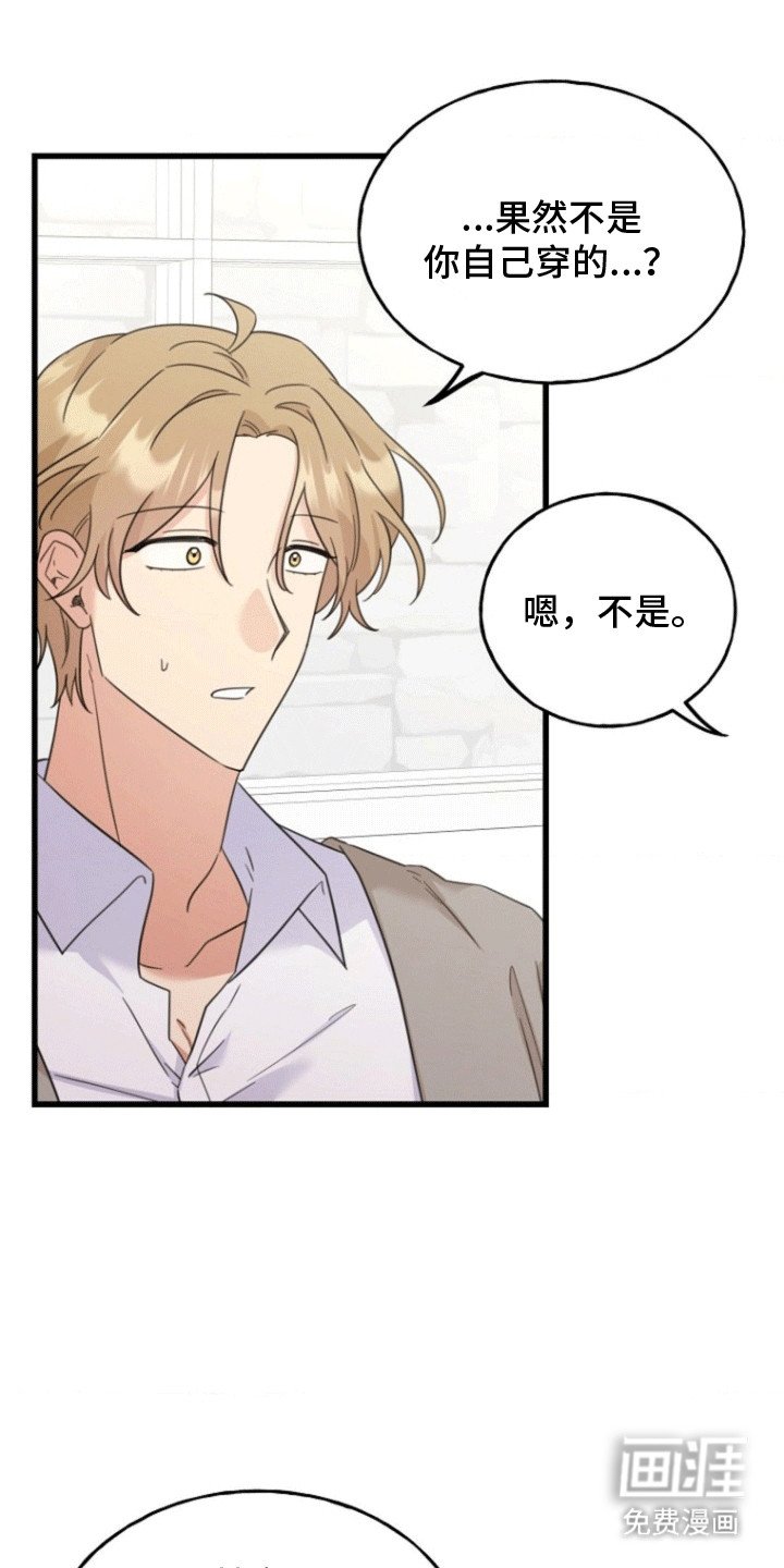 第9章：解释