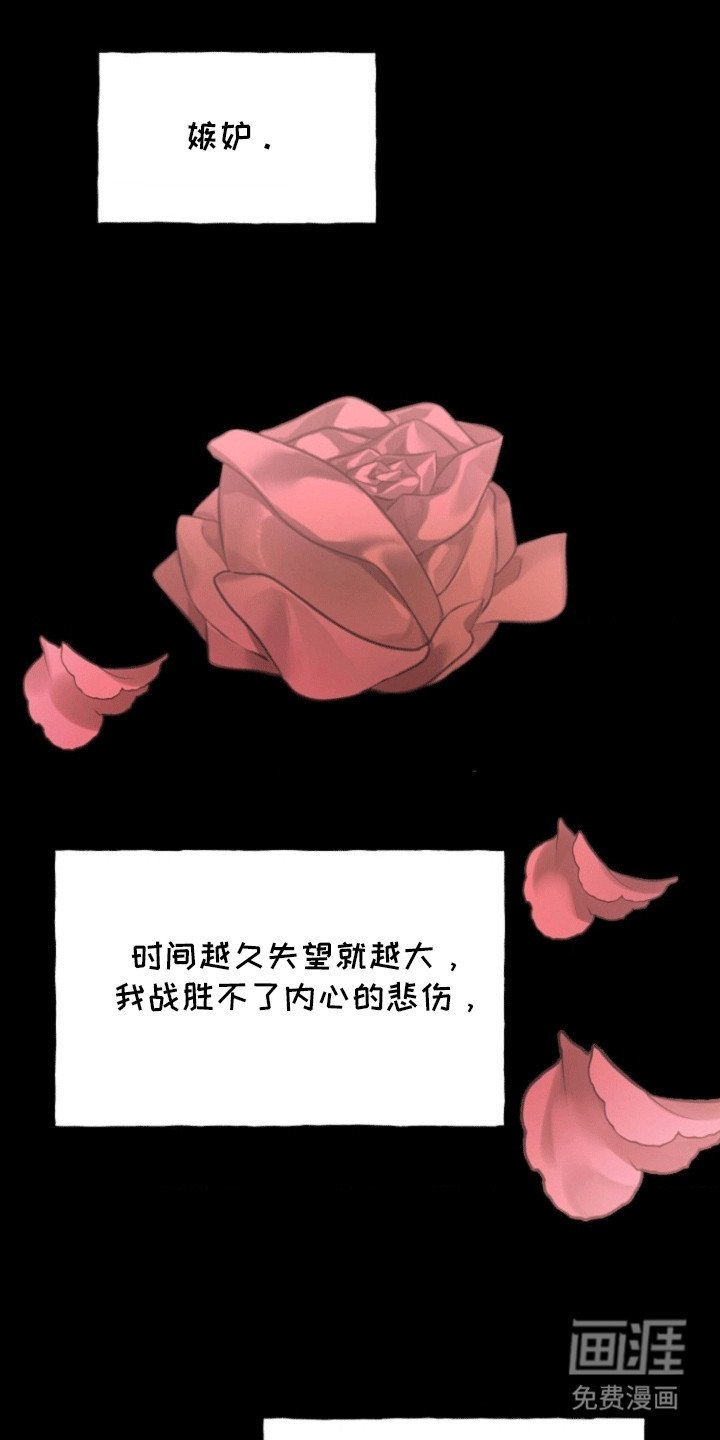 第9章：解释