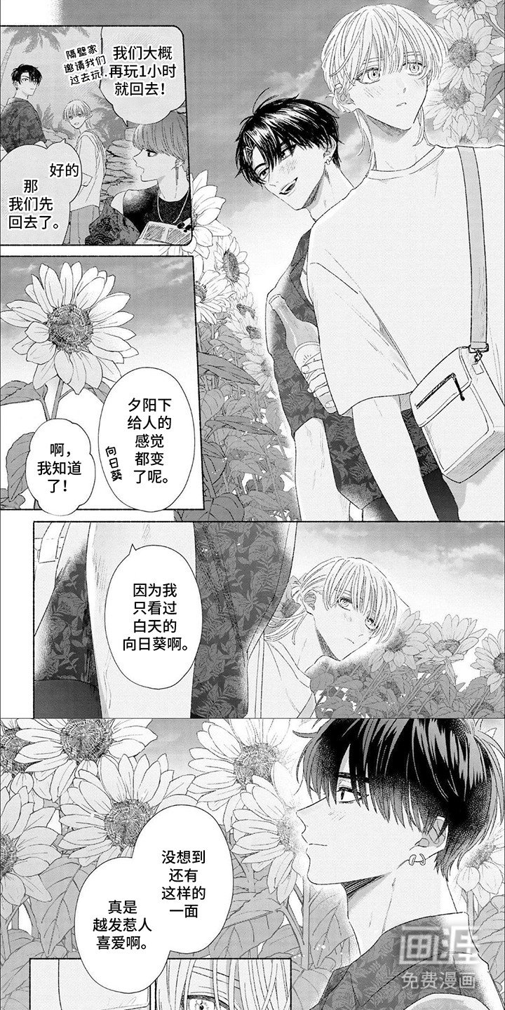 第7章：向日葵