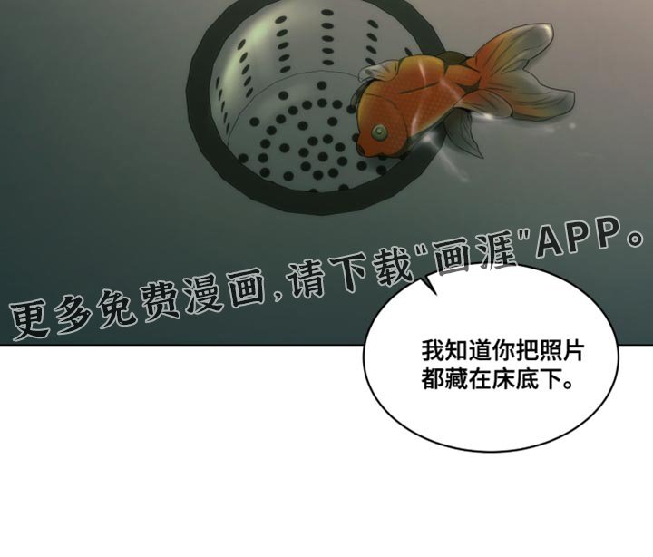 第32章：我没有说谎