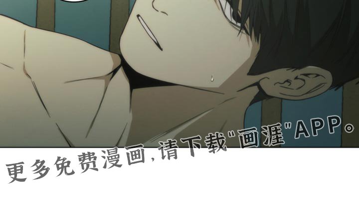 第37章：新爱好