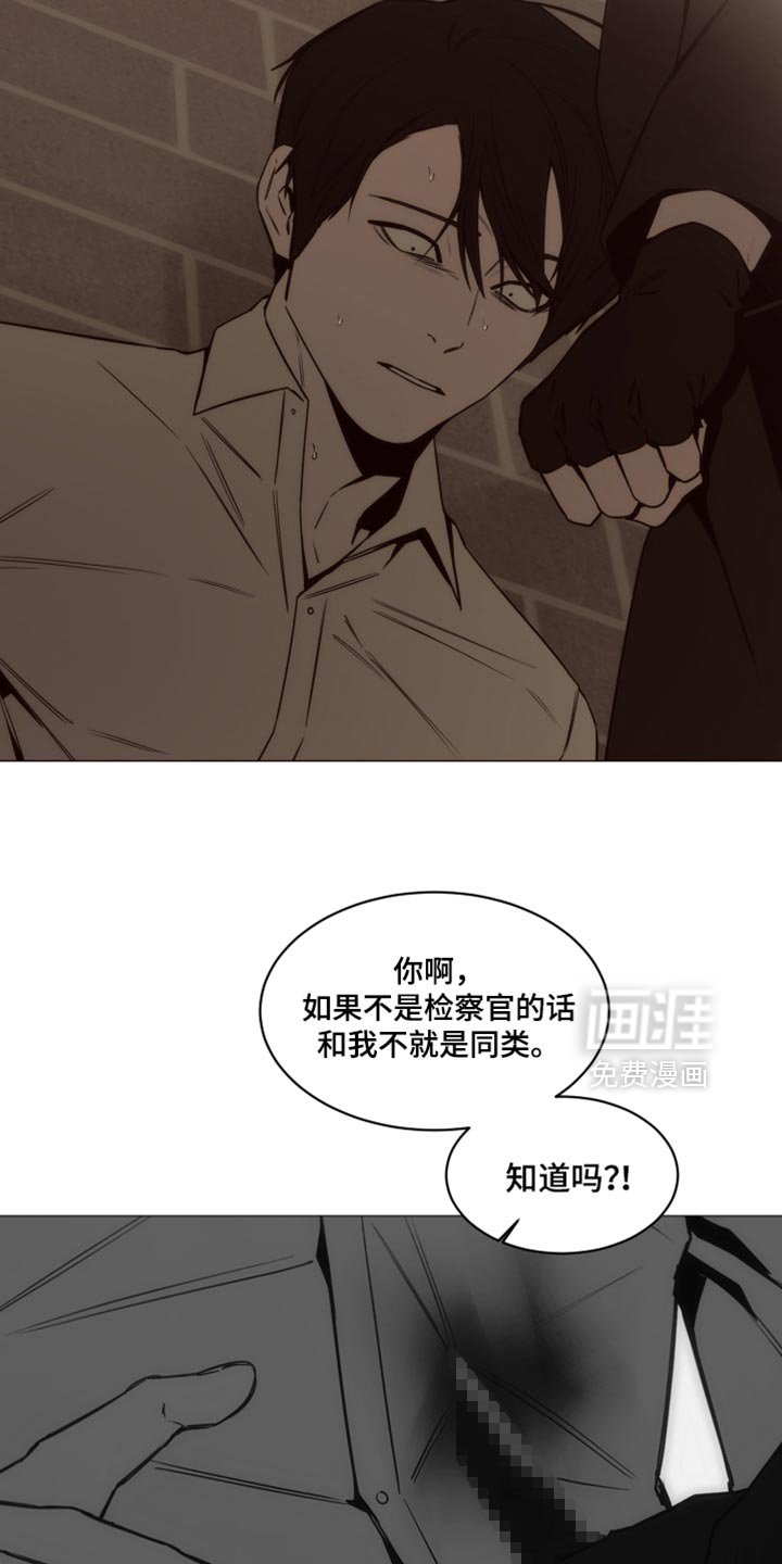 第46章：装模作样