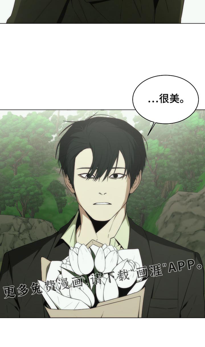 第47章：看大海