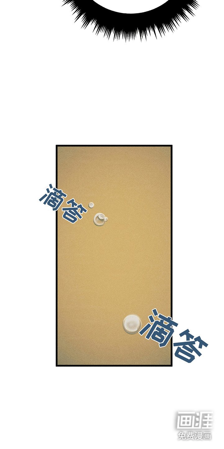 第5章：一见钟情