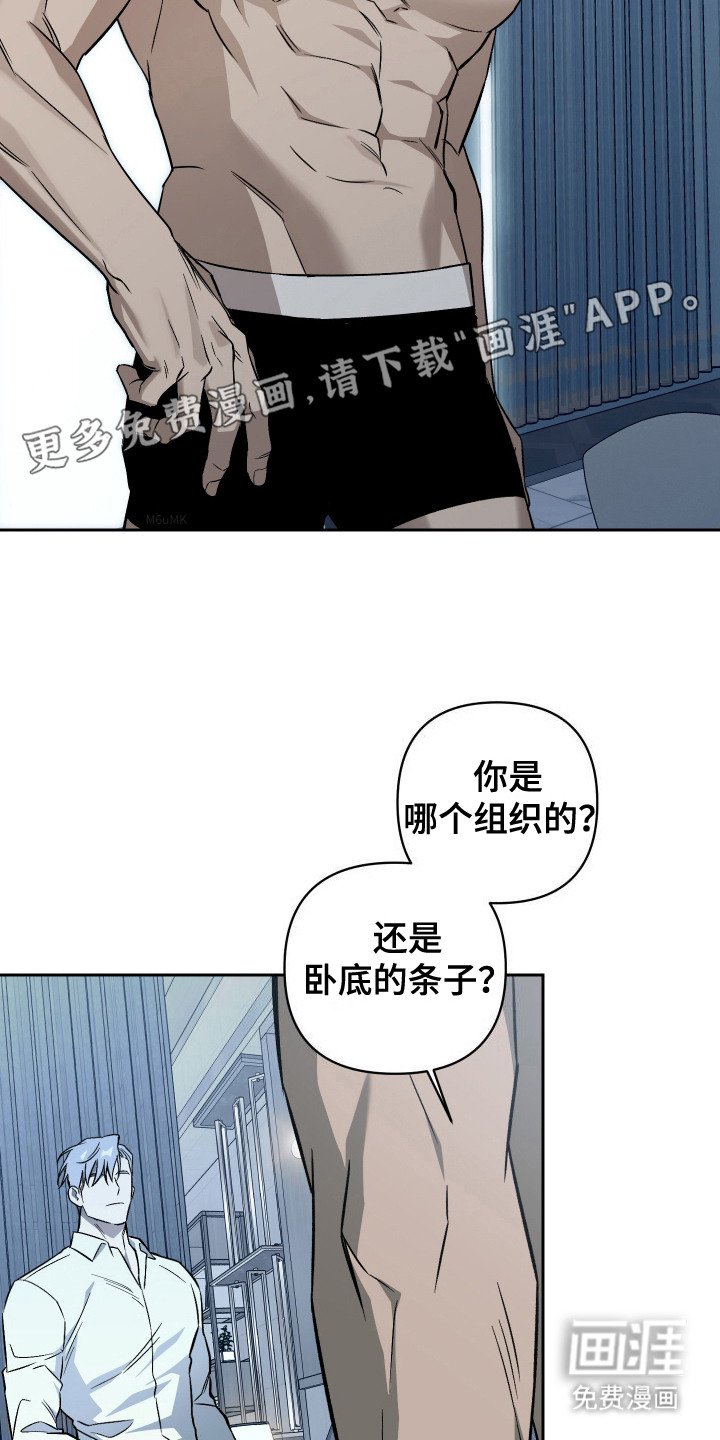 第3章：真心喜欢