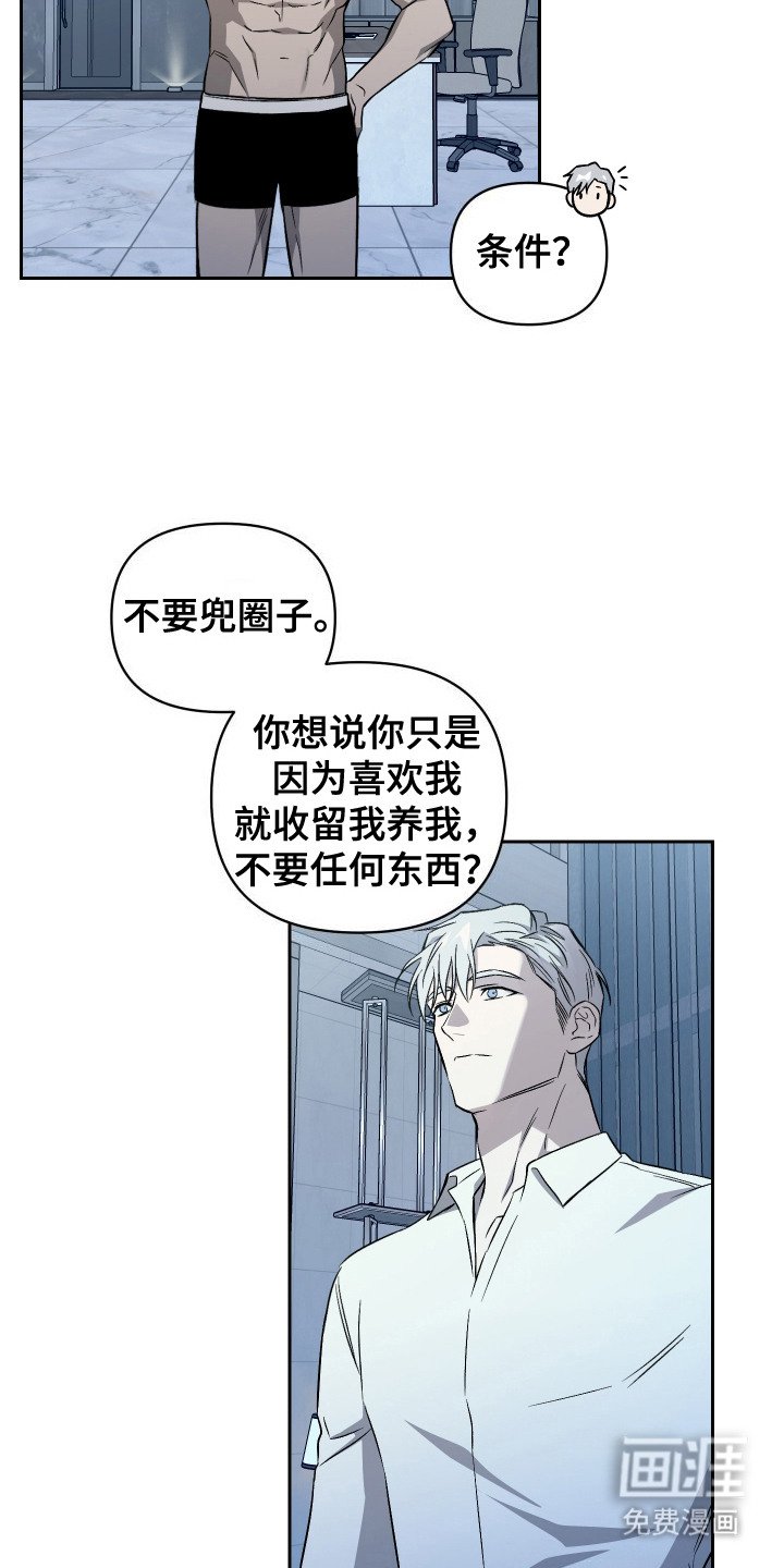 第3章：真心喜欢