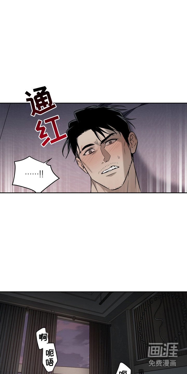 第6章：配合