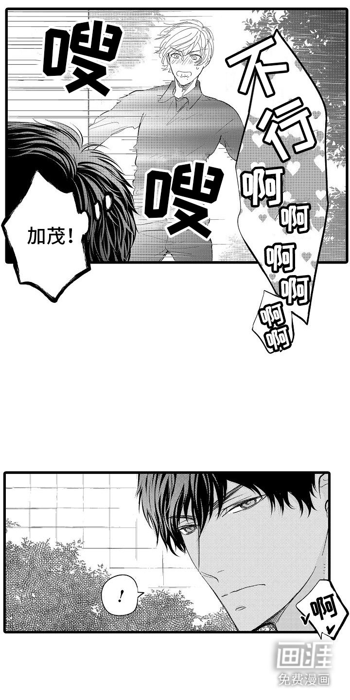 第15章：声音