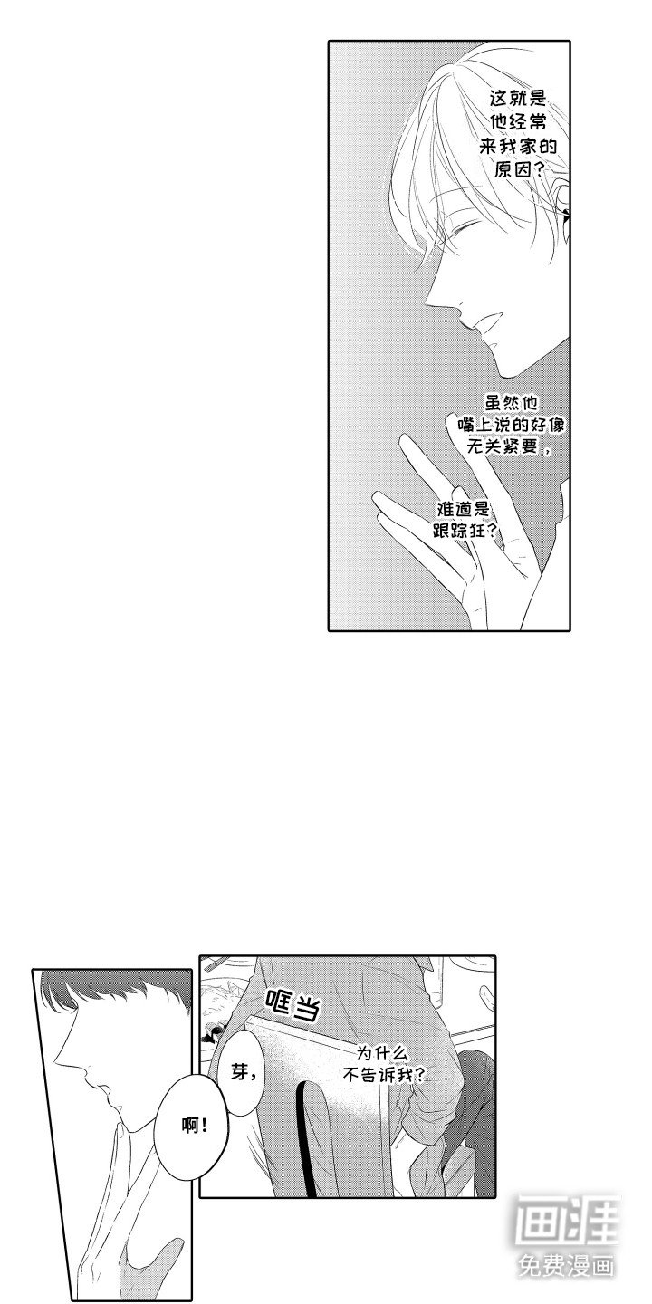 第3章：阳谋