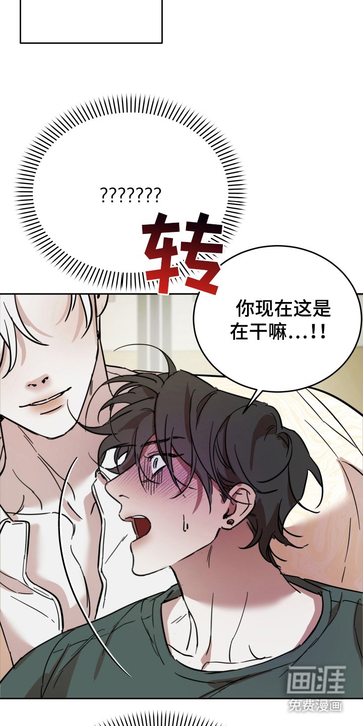 第8章：咨询