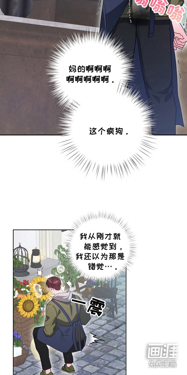 第14章： 龙族新娘：忘不掉