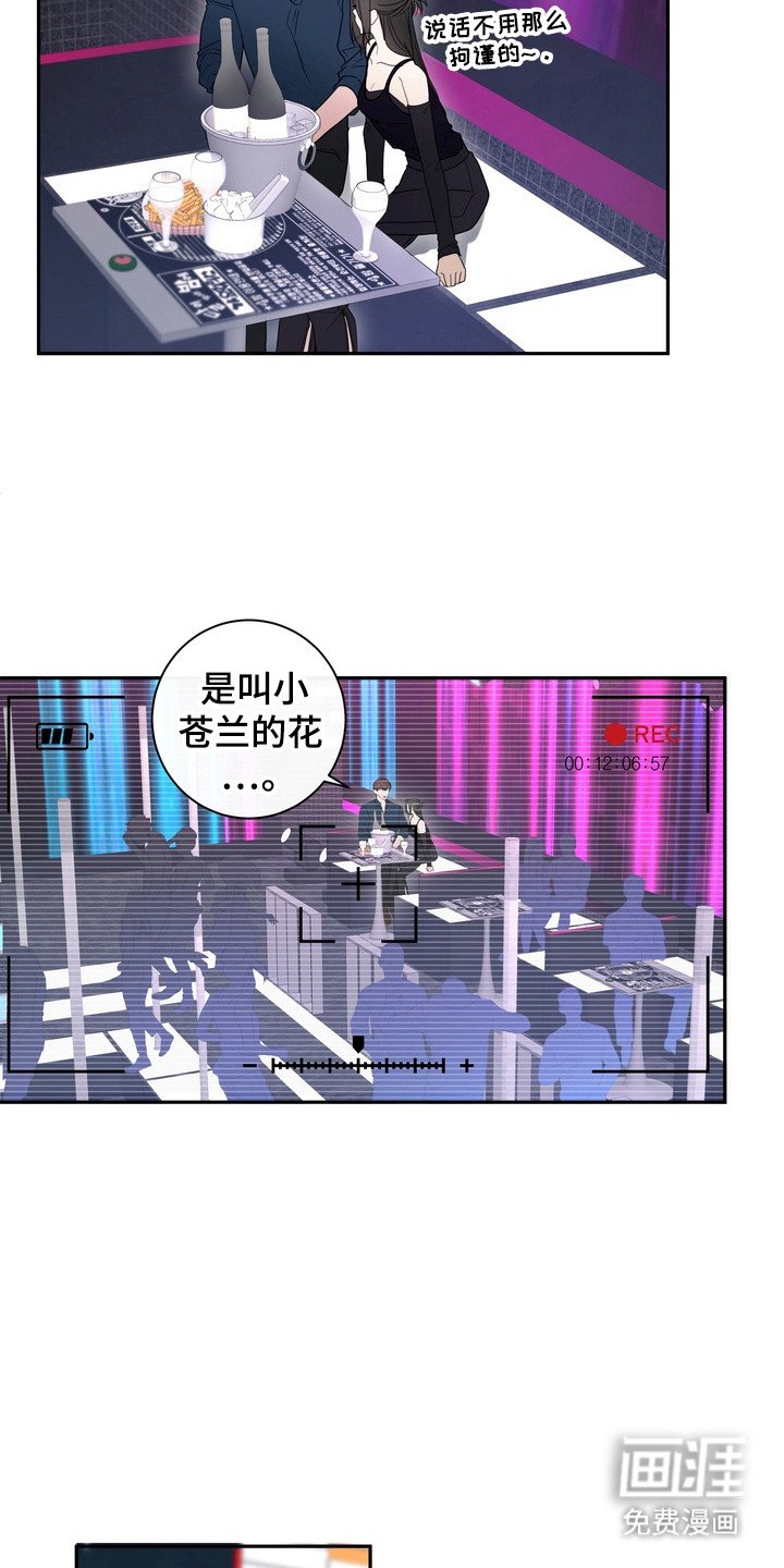 第17章： 龙族新娘：酒吧