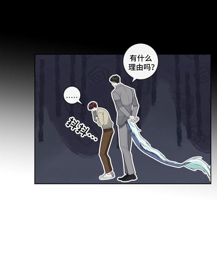 第20章：龙族新娘：挑选衣服