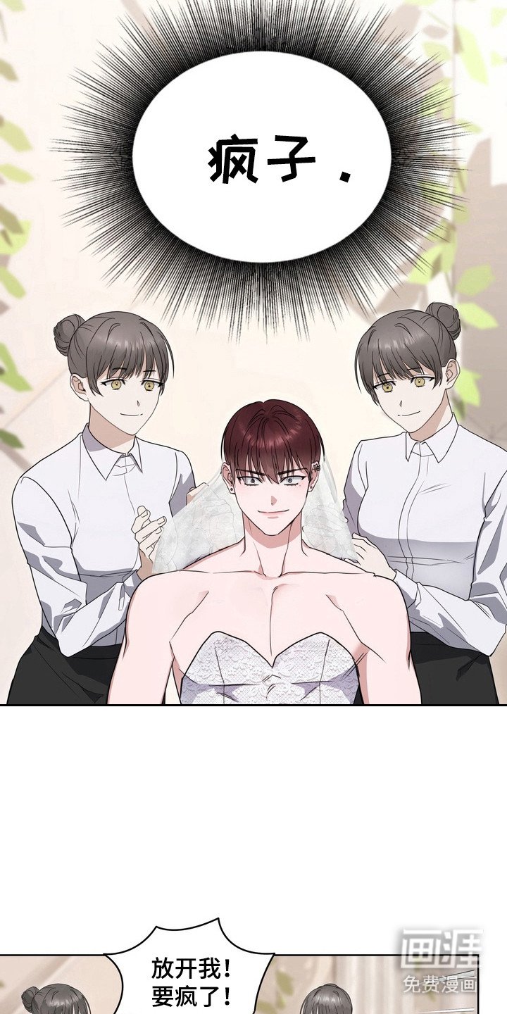 第20章：龙族新娘：挑选衣服