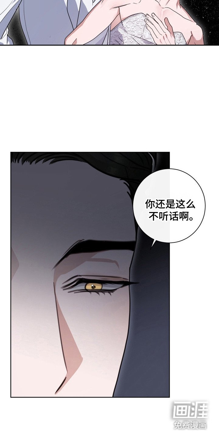 第20章：龙族新娘：挑选衣服
