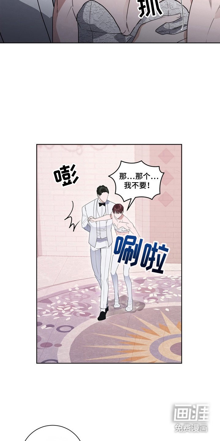 第20章：龙族新娘：挑选衣服