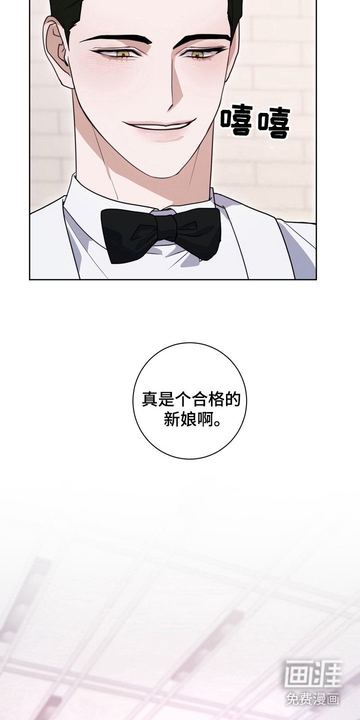 第21章：龙族新娘：婚礼（完）