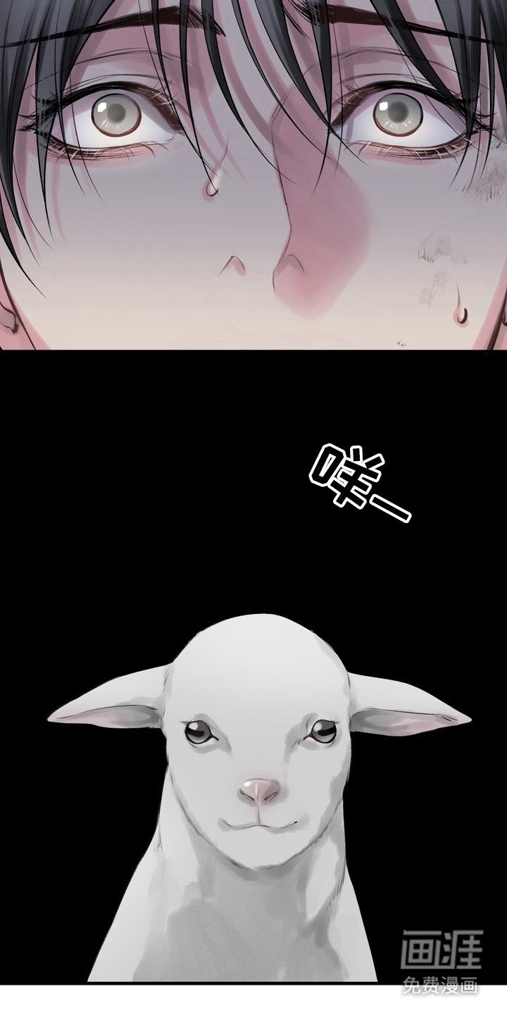 第29章：邀请函：召唤仪式