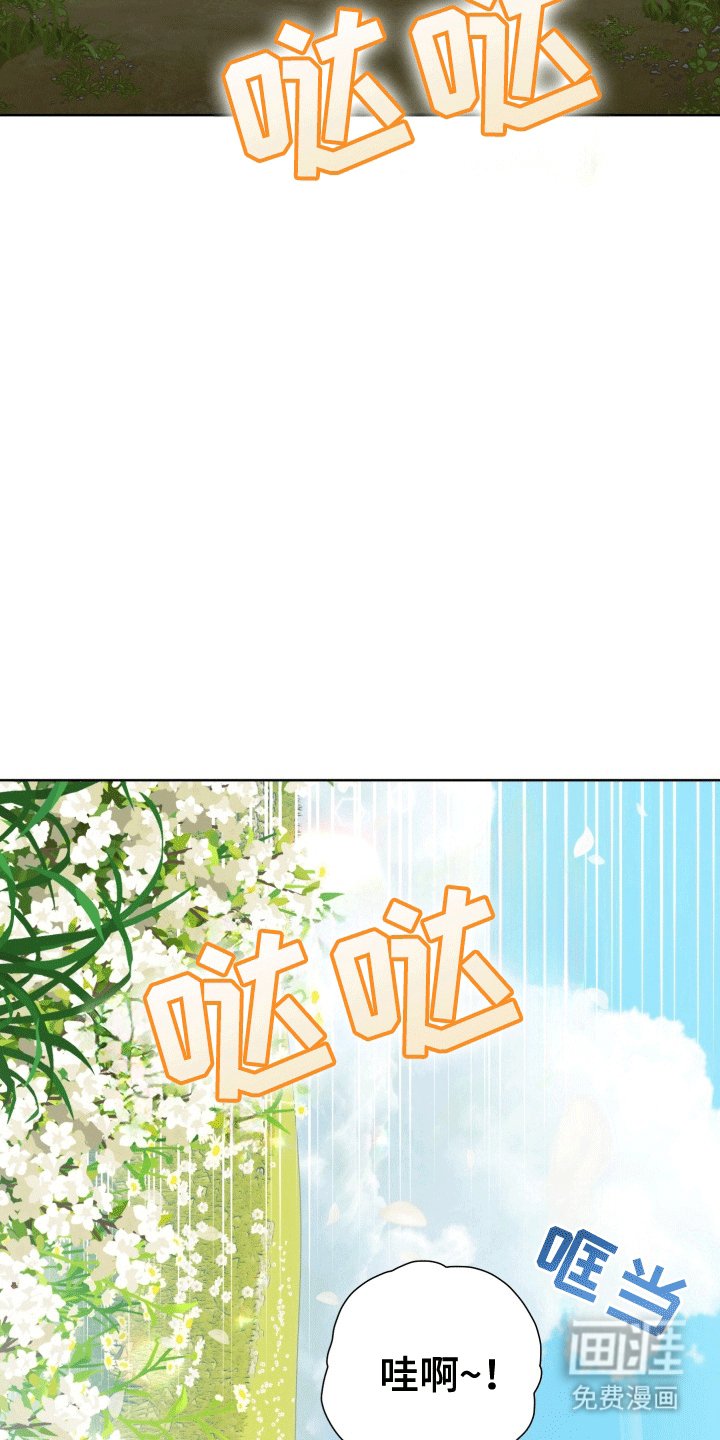 第32章：女装爱人：绸缎菊花