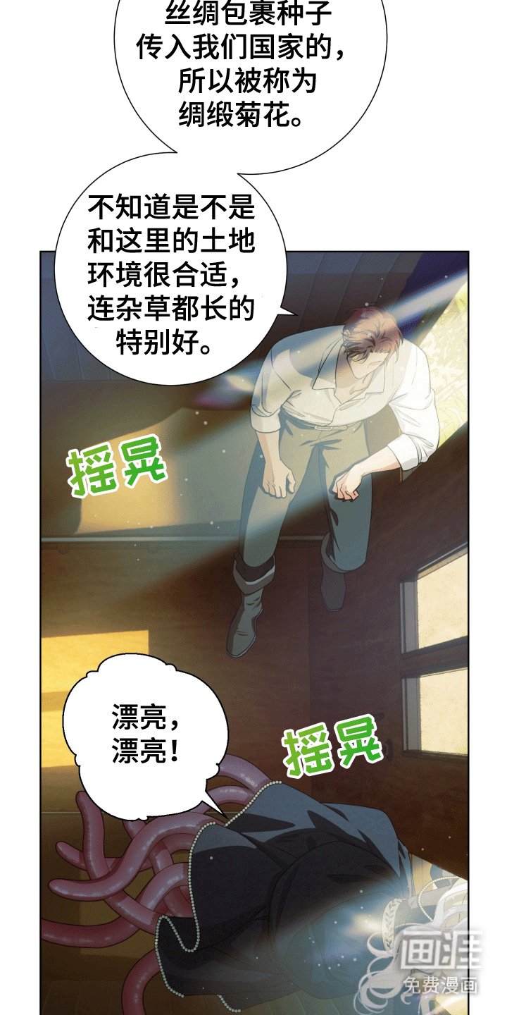 第32章：女装爱人：绸缎菊花