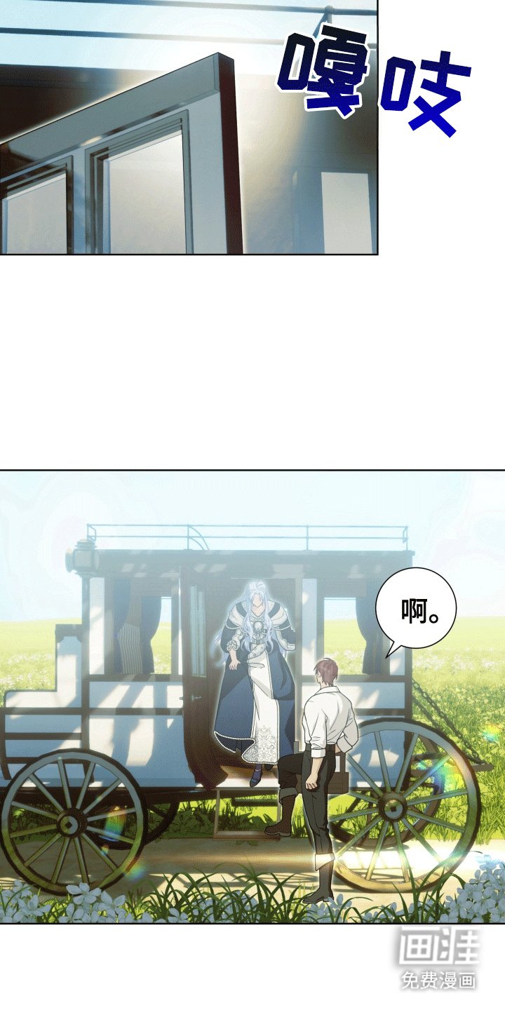 第32章：女装爱人：绸缎菊花