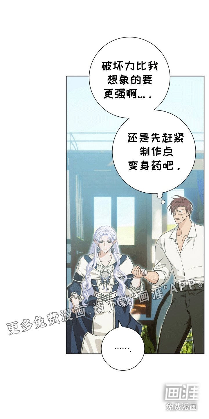 第32章：女装爱人：绸缎菊花