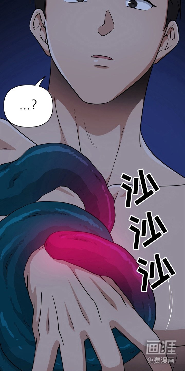第38章：野外生物：不可思议