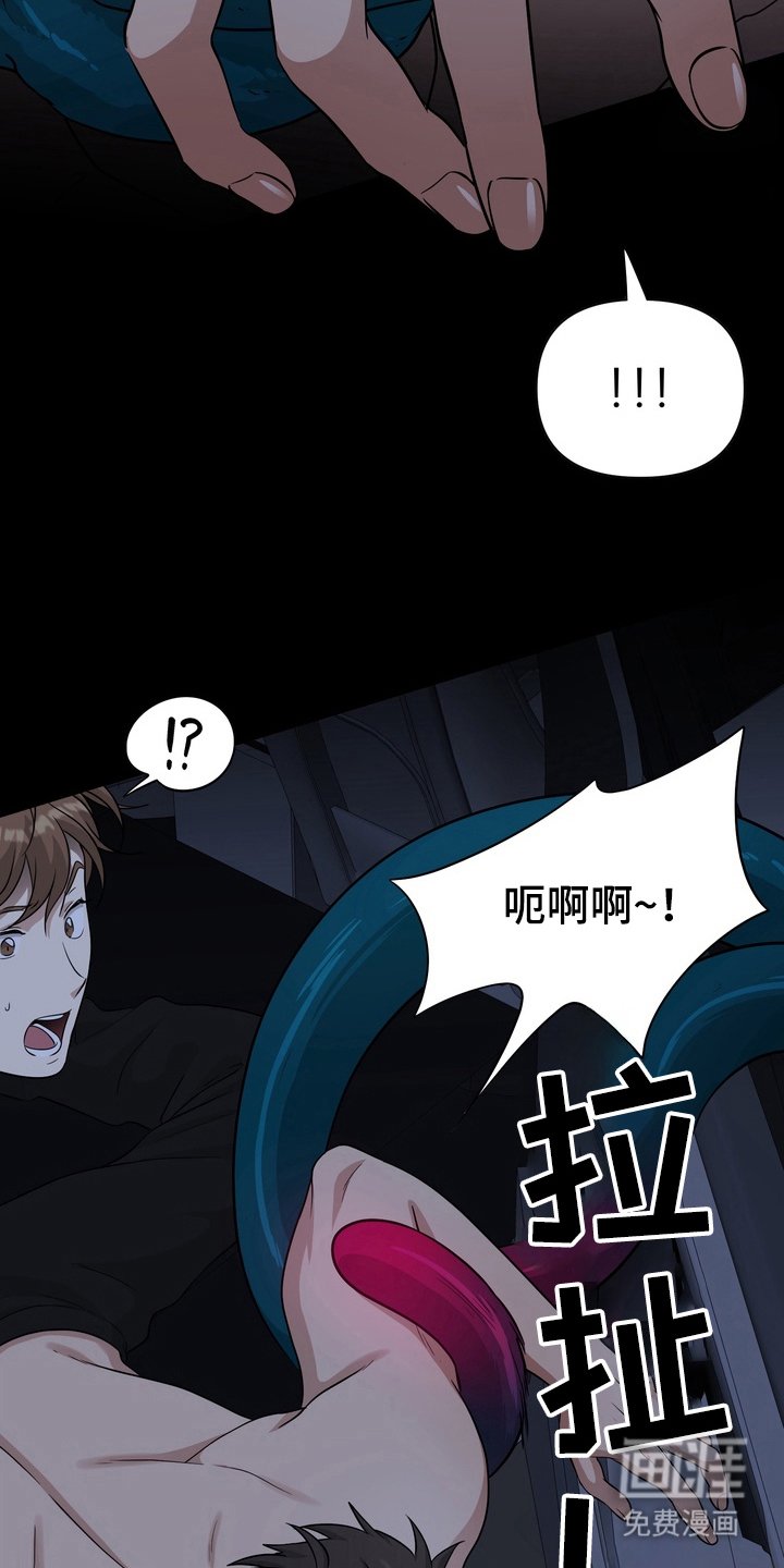 第38章：野外生物：不可思议