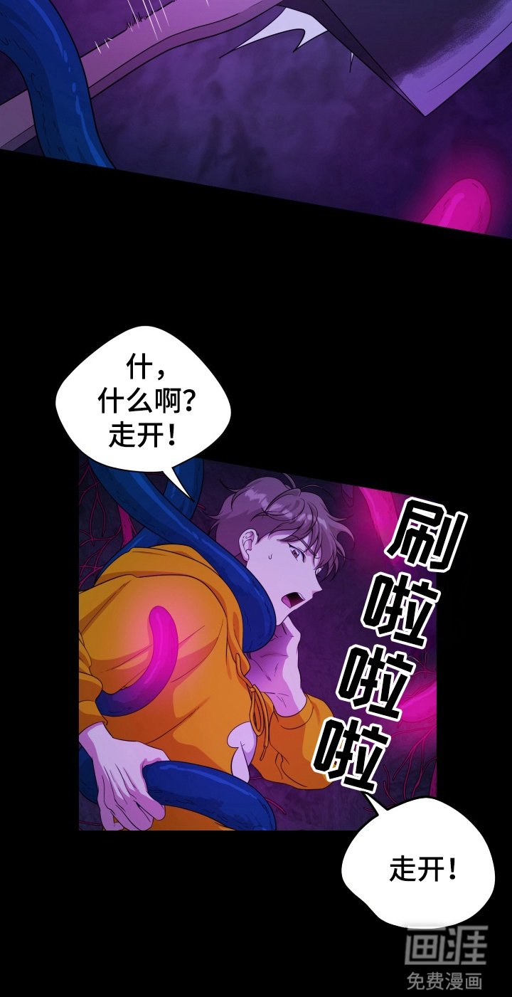 第40章：野外生物：好吃的味道