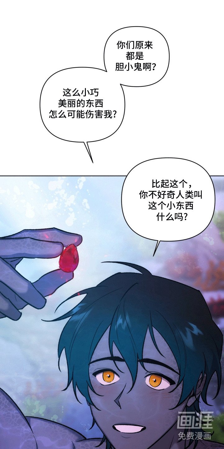 第43章：海底魔法师：想成为人类