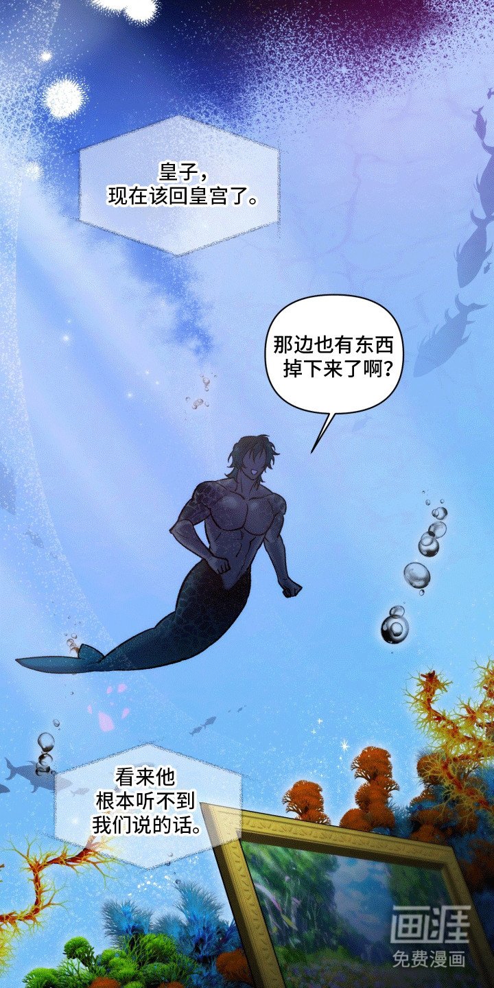 第43章：海底魔法师：想成为人类