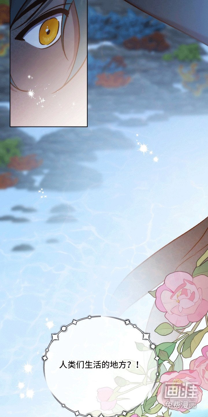 第43章：海底魔法师：想成为人类