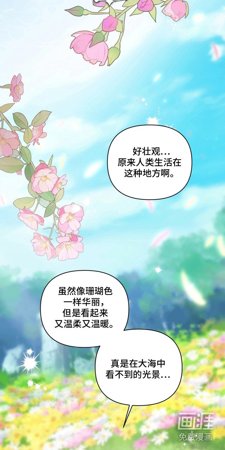 第43章：海底魔法师：想成为人类