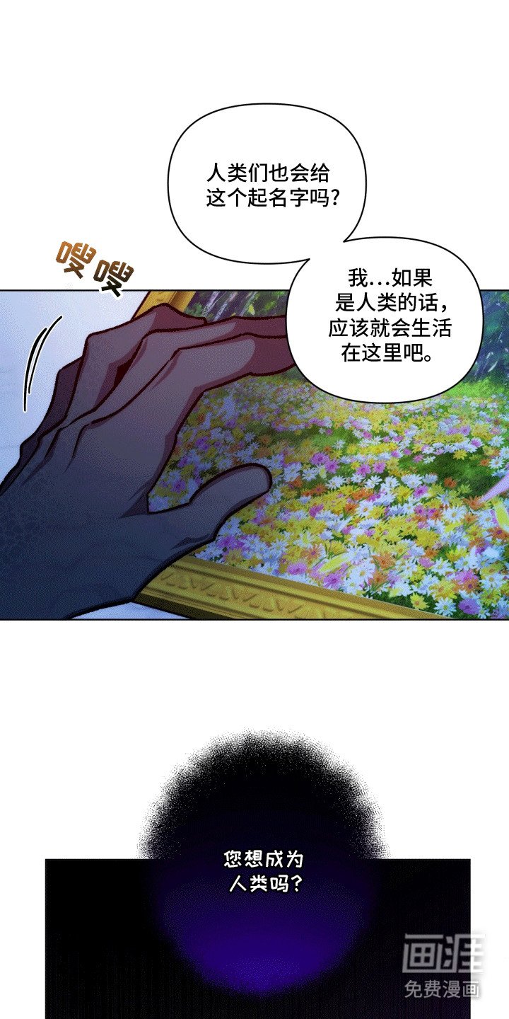 第43章：海底魔法师：想成为人类