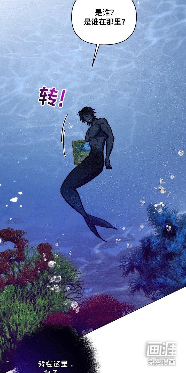 第43章：海底魔法师：想成为人类