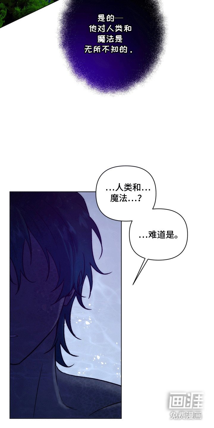 第43章：海底魔法师：想成为人类