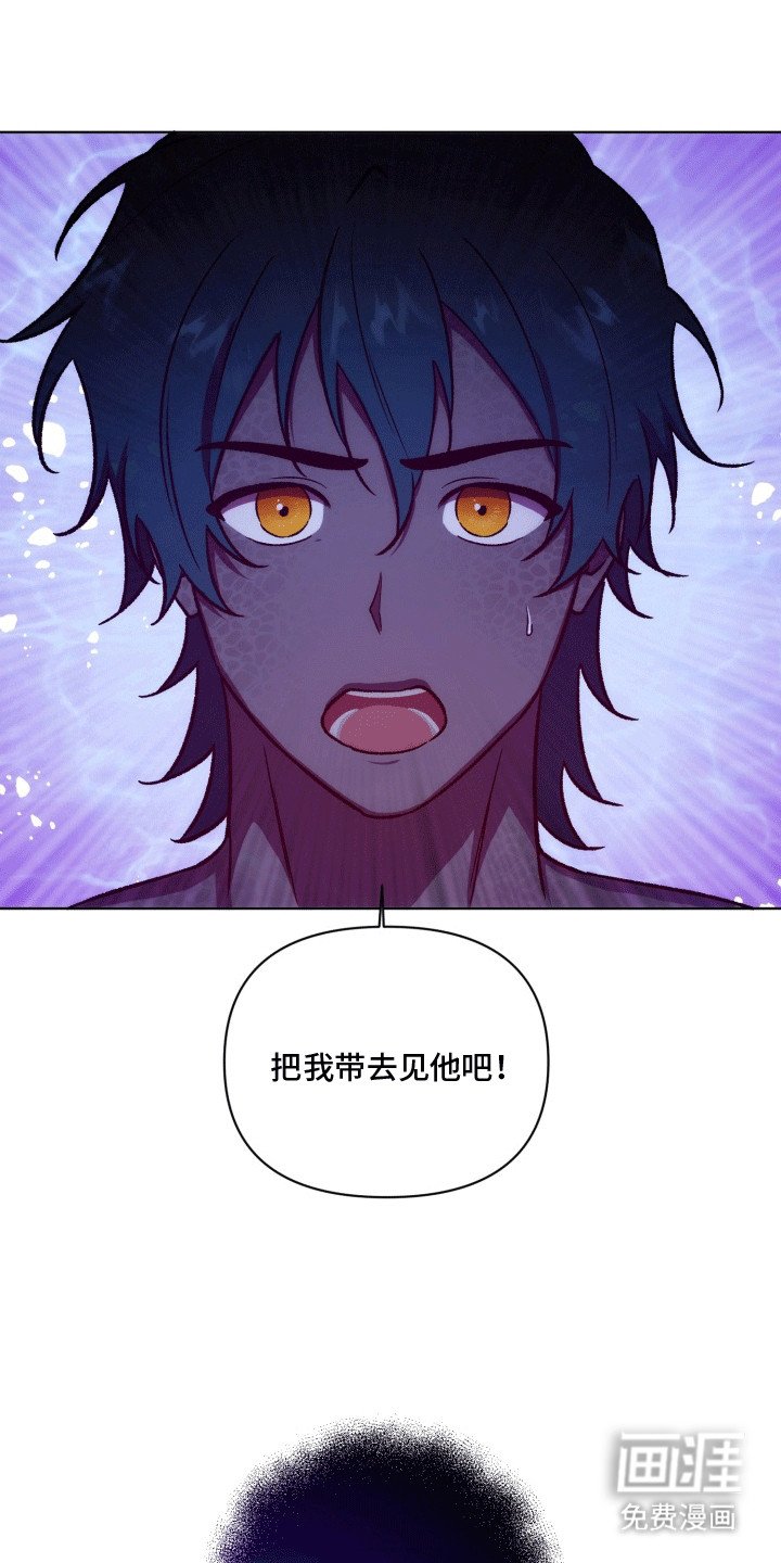 第43章：海底魔法师：想成为人类