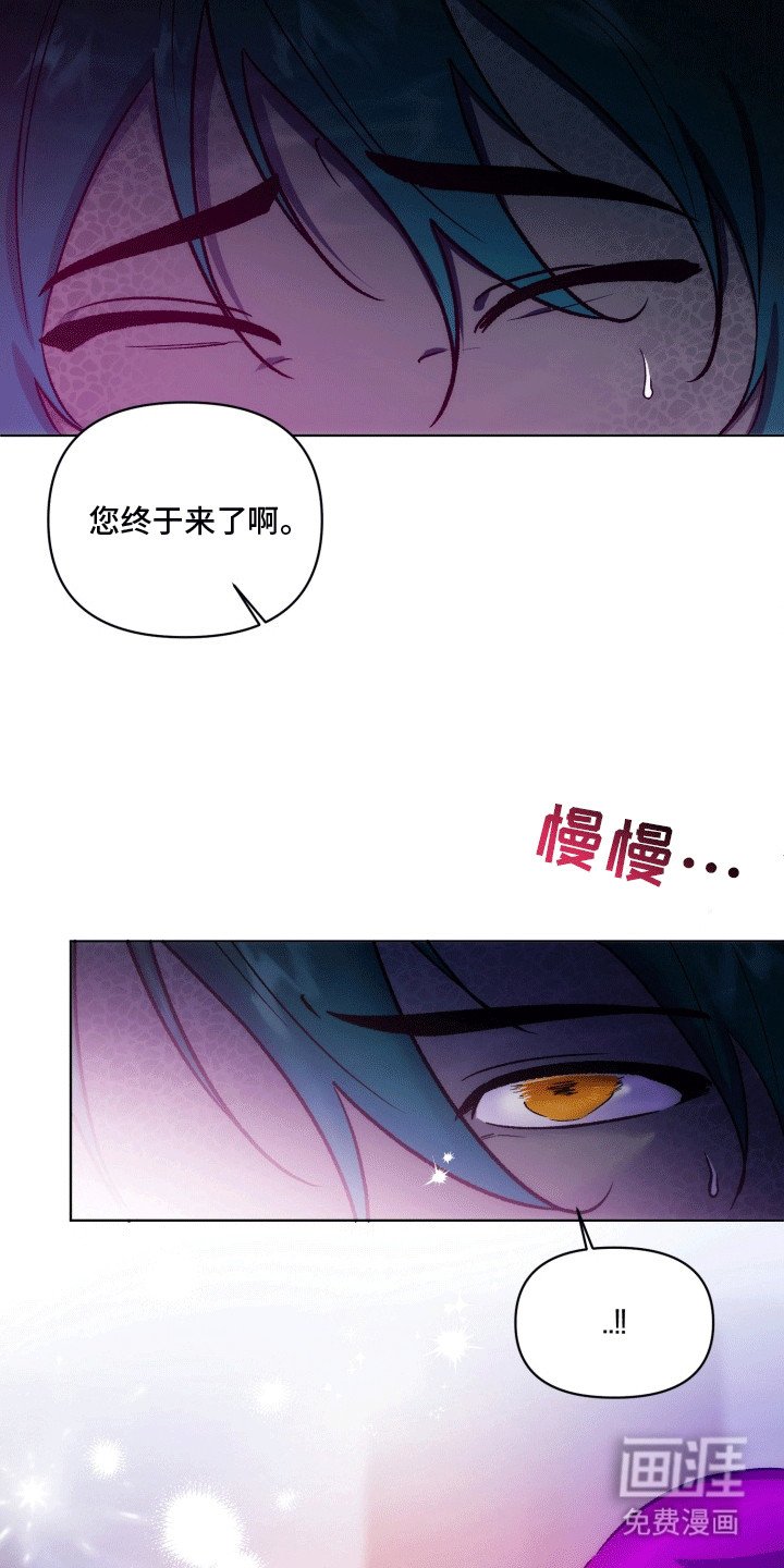 第43章：海底魔法师：想成为人类