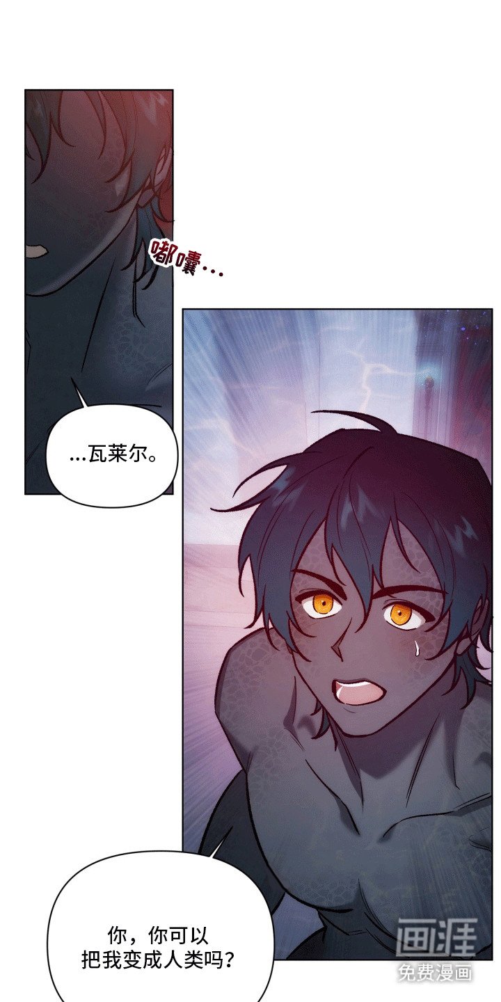 第43章：海底魔法师：想成为人类