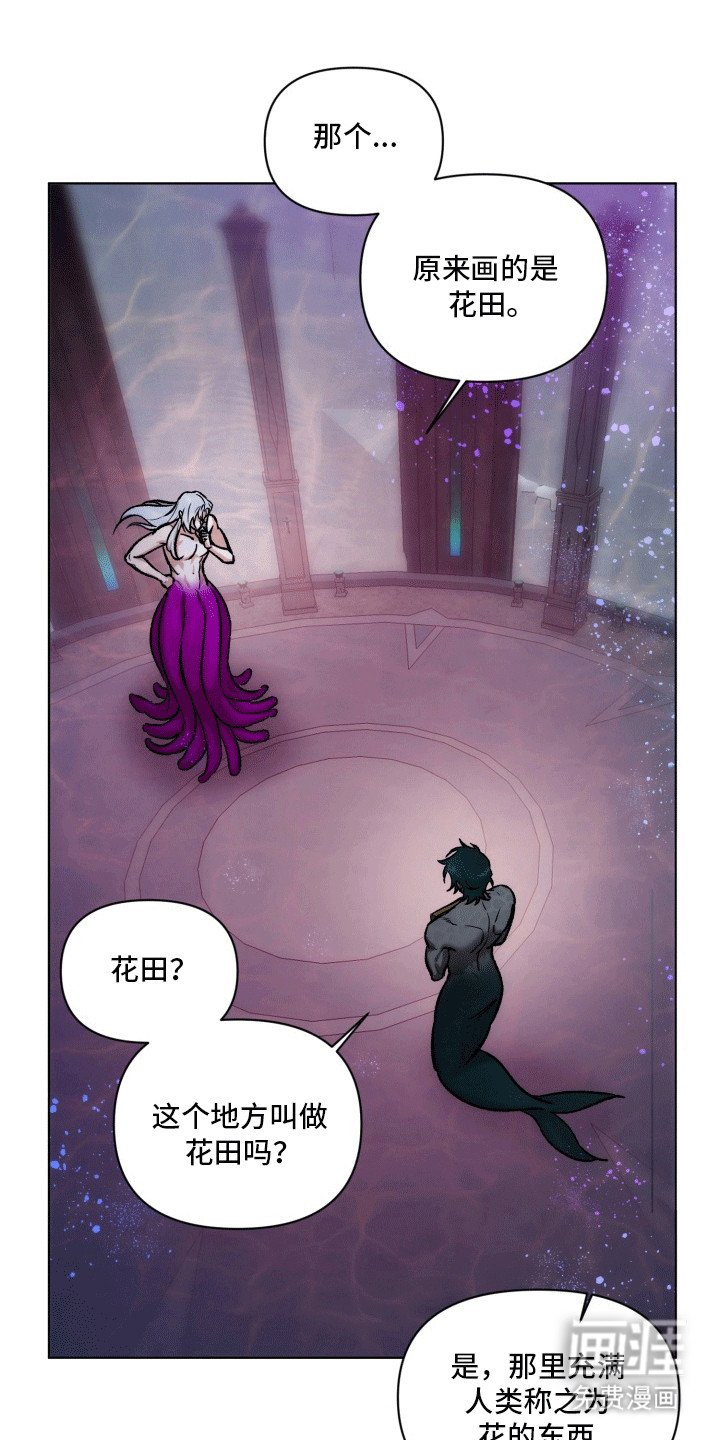 第44章：海底魔法师：实现愿望