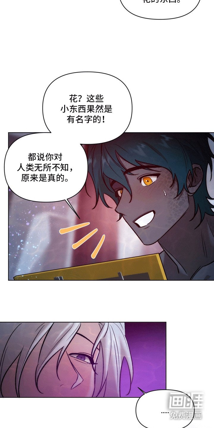 第44章：海底魔法师：实现愿望