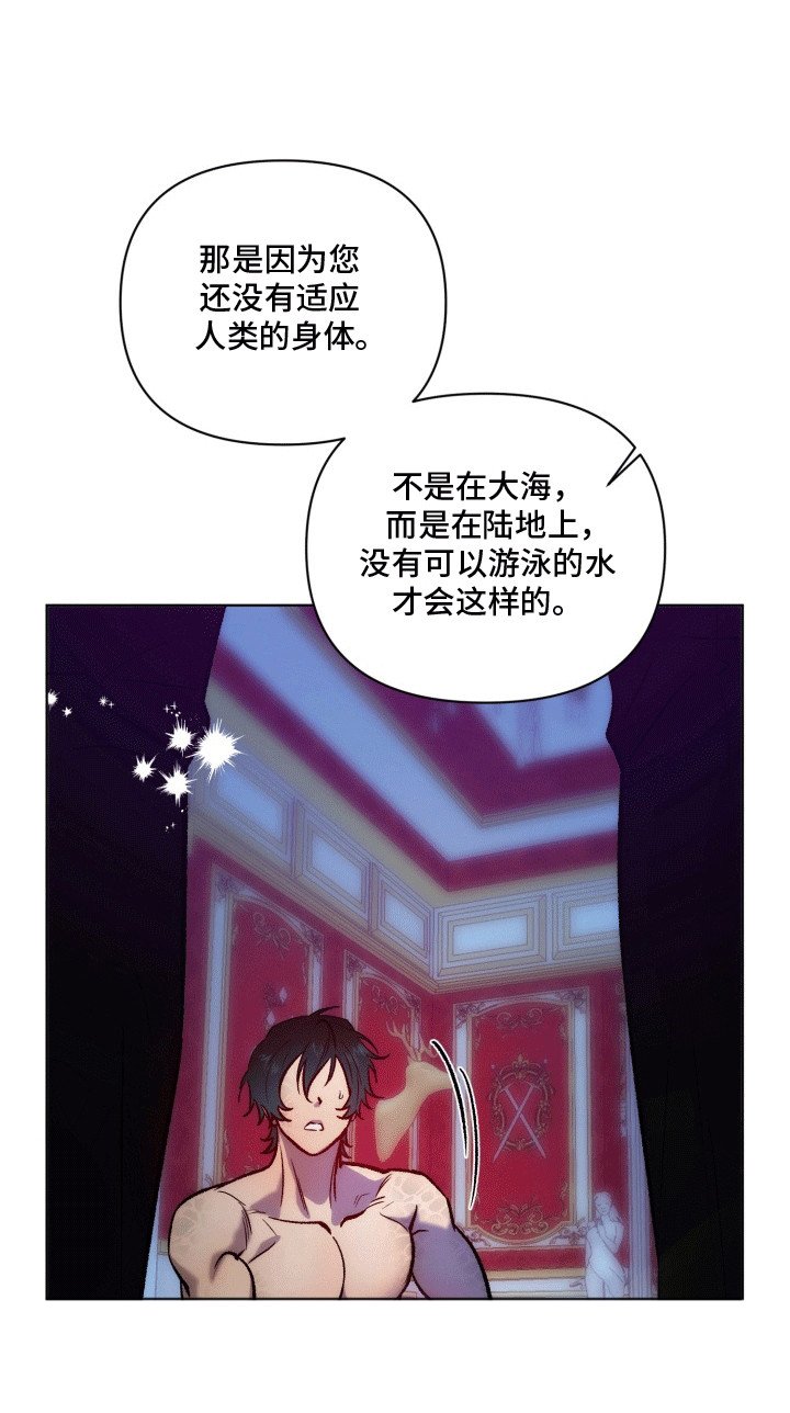 第44章：海底魔法师：实现愿望