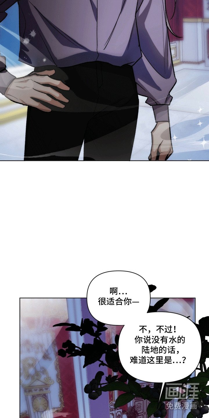 第44章：海底魔法师：实现愿望