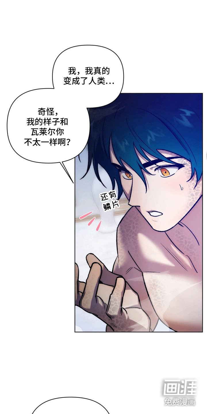 第44章：海底魔法师：实现愿望