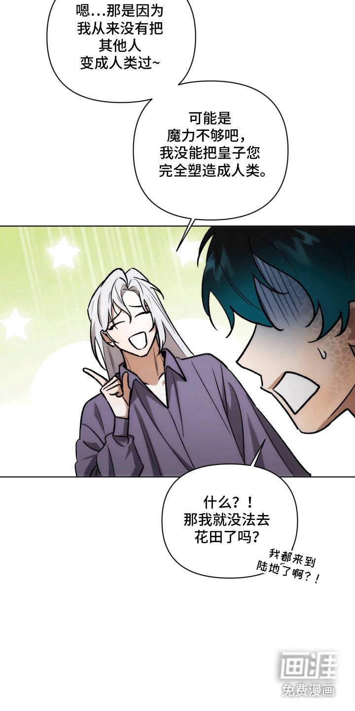 第44章：海底魔法师：实现愿望