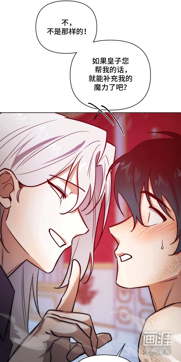 第44章：海底魔法师：实现愿望