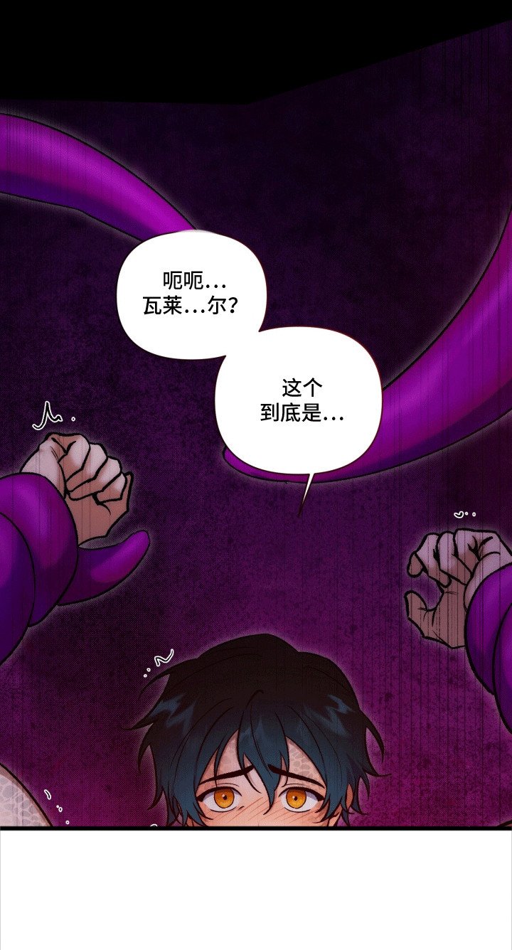 第45章：海底魔法师：初次见面