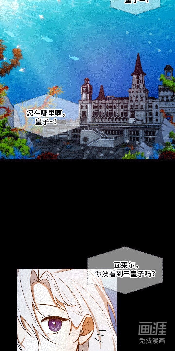 第45章：海底魔法师：初次见面