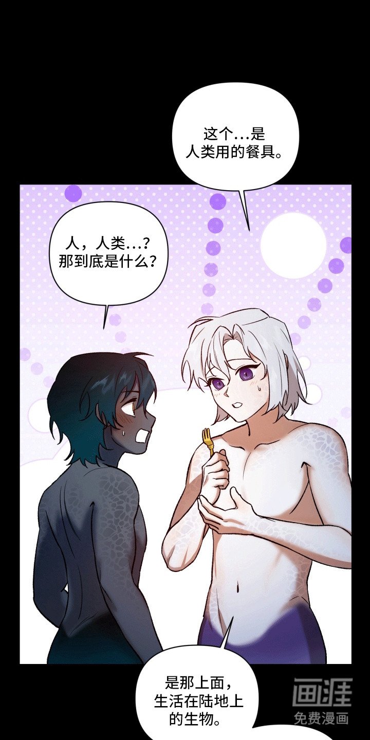 第46章：海底魔法师：陆地