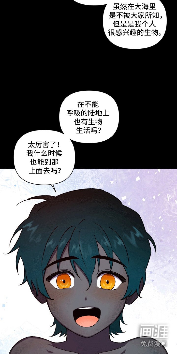 第46章：海底魔法师：陆地